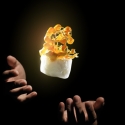 oeuf-coque.jpg